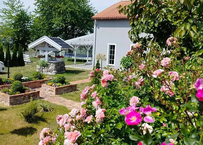 Agroturystyka Rybno
