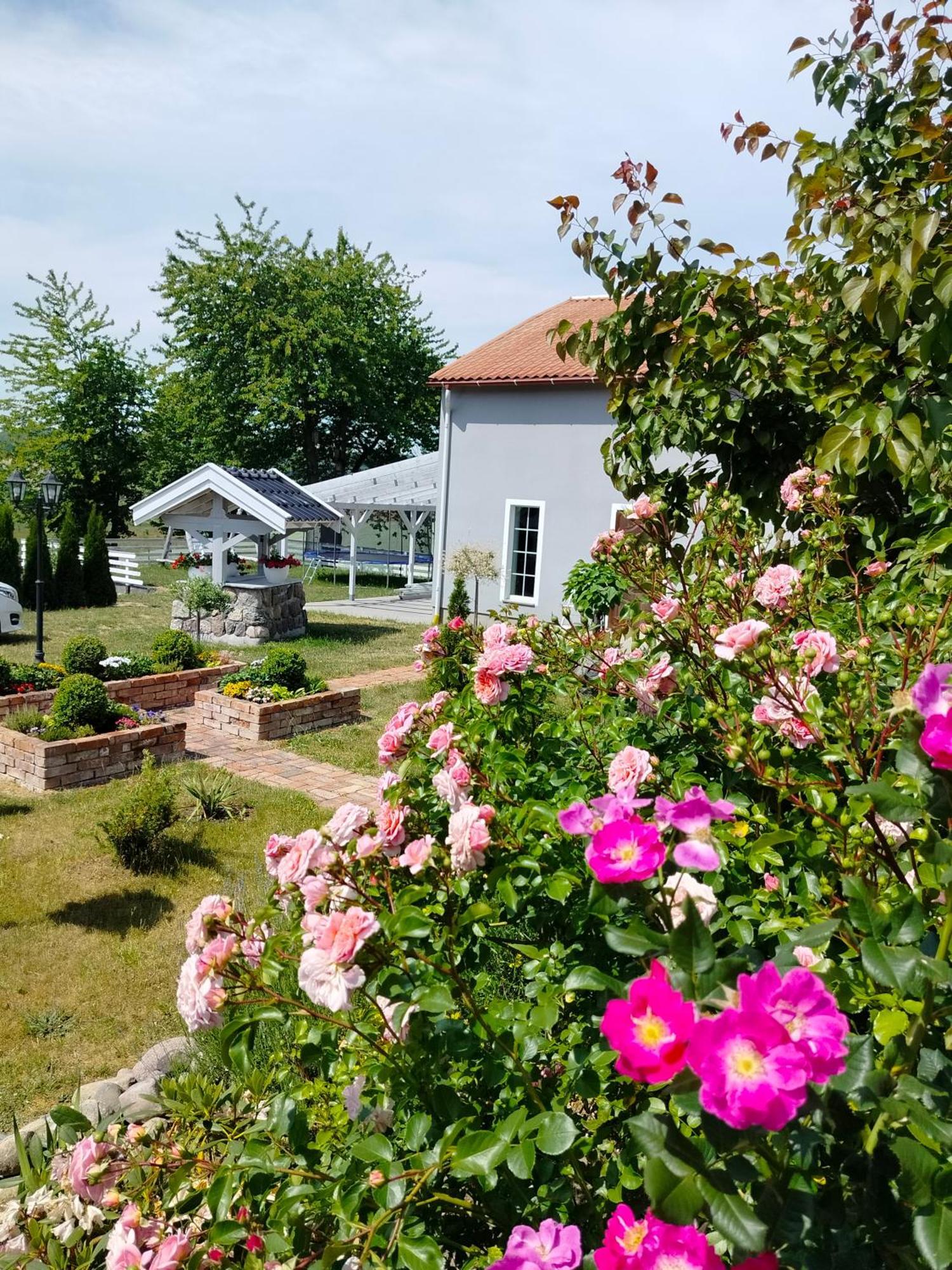 Rybno Apartment Rybno (Wejherowo)